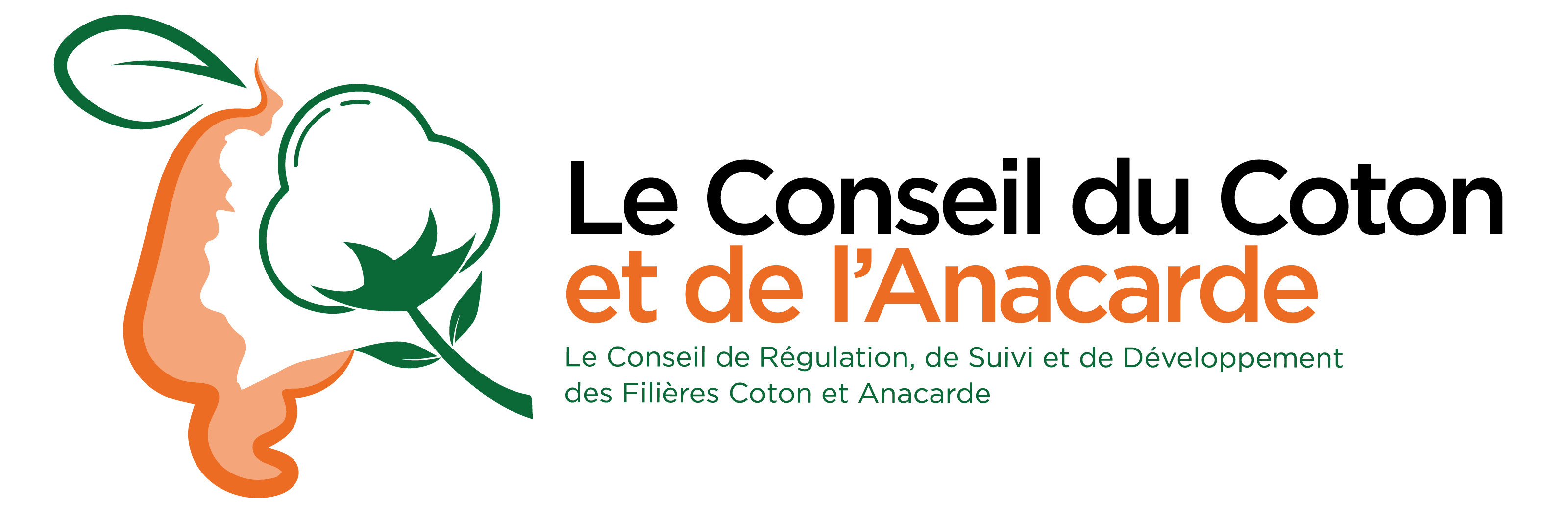Logo CCA